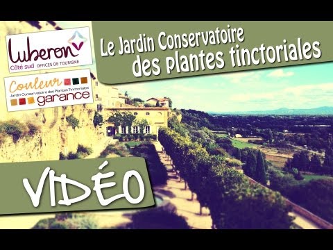 Le Jardin Conservatoire des Plantes Tinctoriales de Lauris.