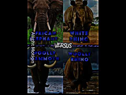 Woolly Mammoth vs African Elephant vs White Rhino vs Woolly rhino @MostlyGoofy