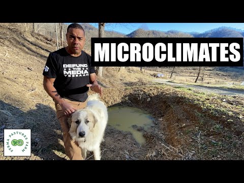 Permaculture Microclimates and How to Use Them