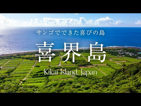【喜界島】サンゴでできた喜びの島 [Kikai Island, Japan]