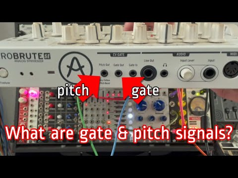 What are Gate & Pitch Signals? (Modular Synth 101 | Part 8)