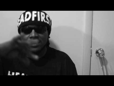 B-DOG    100 STRIPES