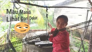 Download lagu Lihat gadis cantik mau mandi menimbah air di sumur mp3 Download lagu Lihat gadis cantik mau mandi menimbah air di sumur mp3