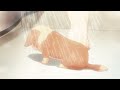 A Lucky Dog My Life As Inukai San S Dog