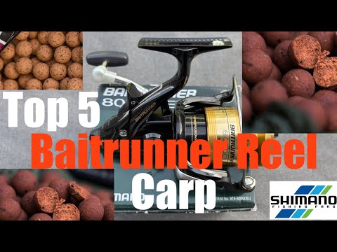 Top 5 Shimano Bait Runners for Carp Fishing