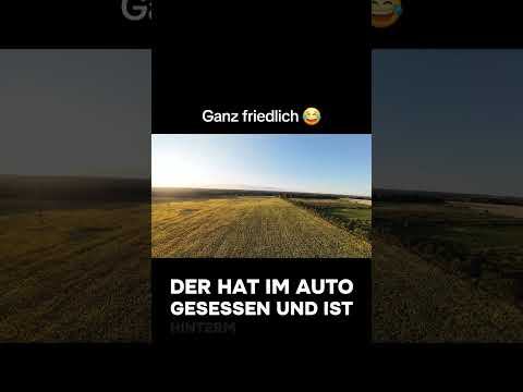 Ganz friedlich ⛪️ #humor #meme #haha #lustig #fyp