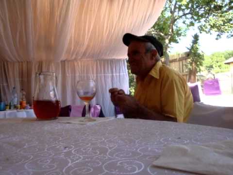 Rapsodu de la Săulești