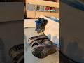 Customized Yeezys 350 Boost Clarasart Cloandmonie Yeezy350