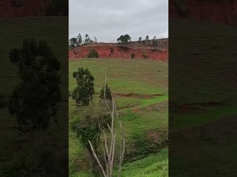 linda fazenda na saída de Carangola MG para Tombos MG.#Carangola #musica  #fazenda .