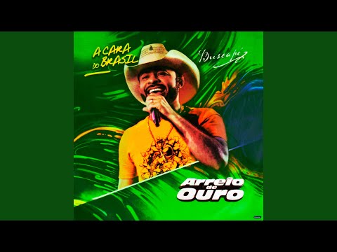 Tempo Ao Tempo - Arreio de Ouro
