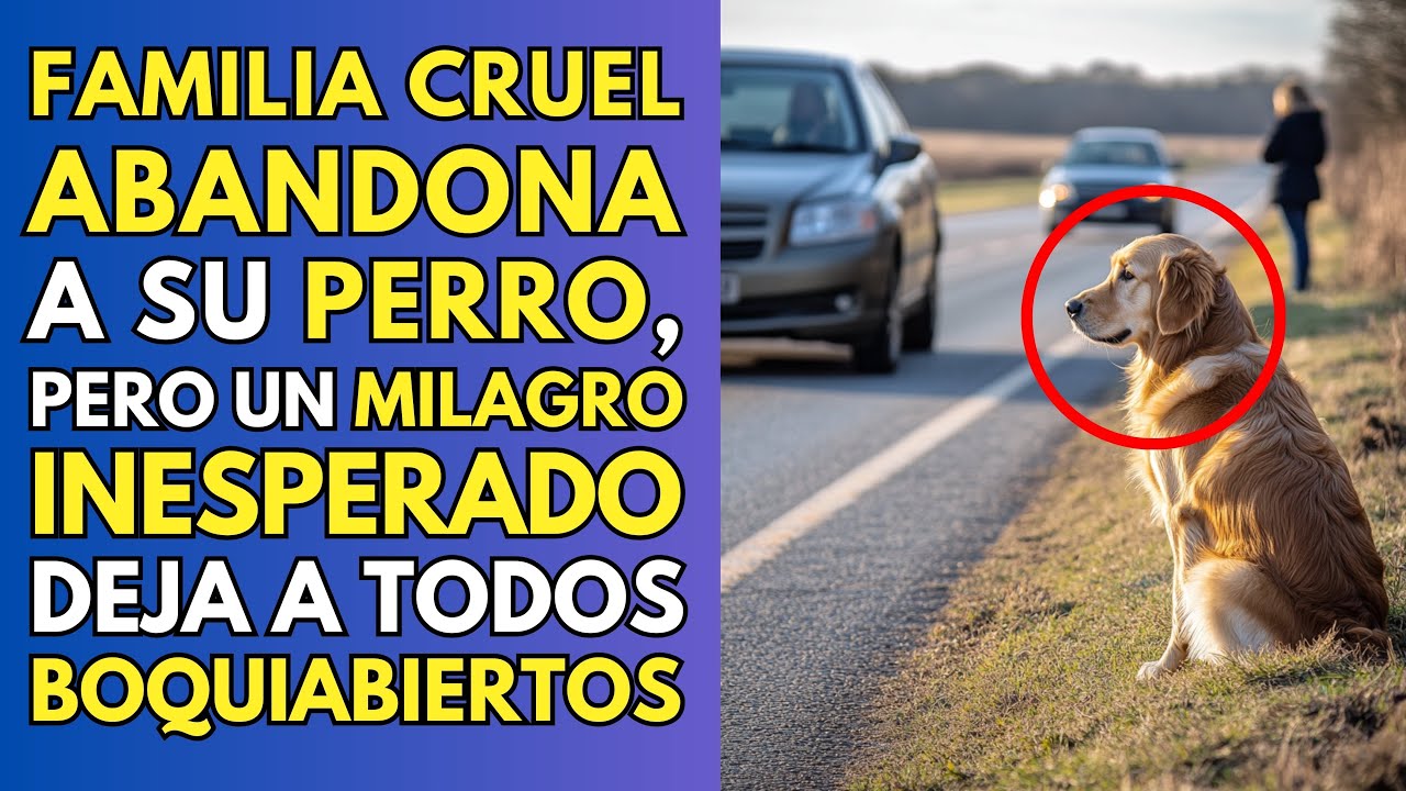 FAMILIA CRUEL ABANDONA A SU PERRO, PERO UN MILAGRO INESPERADO DEJA A TODOS BOQUIABIERTOS