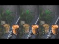 Rain Song ️ Tamil Rain Feel Song ️ WhatsApp Status ️