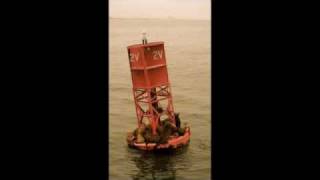 ISAN - "Trois Gymnopedies: No. 2 Lent et Triste"