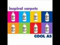 Seeds Of Doubt - Inspiral Carpets (Audio Only)