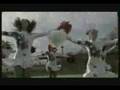 S.O.S. - Не везет 
