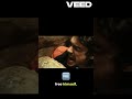 ARON RALSTON SURVIVAL STORY