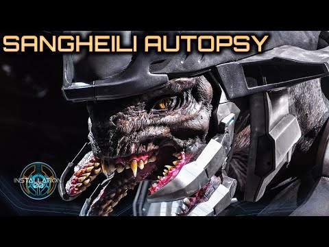 Elite Autopsy | Most Detailed Breakdown