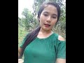 Kalamansi Plant Kalamansi Paglilinis Gandangbatya