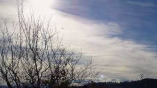 Pieces of a Dream - Have a Little Faith