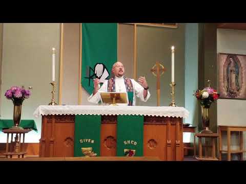 13ro Domingo después de Pentecostés / 13th Sunday after Pentecost