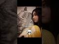 Cats Act Like Humans