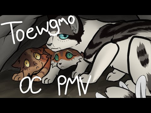 Swandance - TOEWGMO [Warriors OC PMV/Blood Warning]