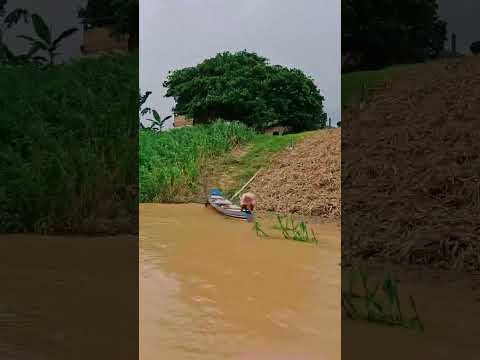 viajando no rio juruá destino a comunidade lagoinha.