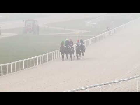 2022.11.13. 03. futam - JACK THE GIANT HENDIKEP (V.o.)(szintetikus pálya)