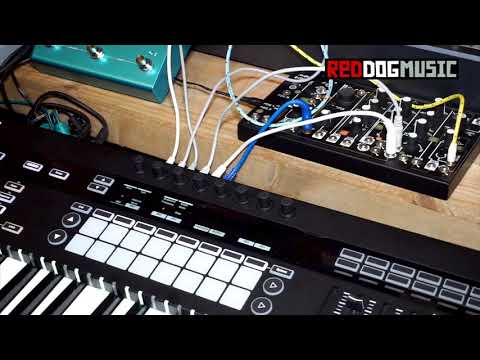 Novation SL MKIII Controller Keyboard Demo