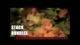 Stack Bundles - Imagine That (OFFICIAL VIDEO) 2012