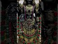 Perumal Venkateshwara Venkatesh Govinda Govinda Tirupatibalaji Thirupathitemple