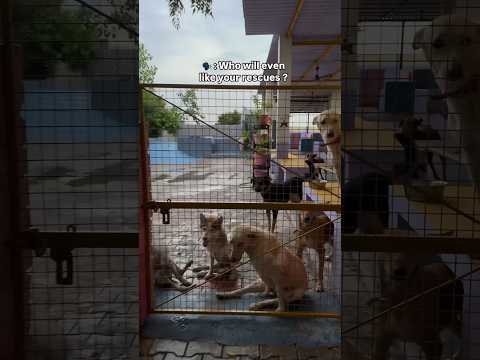 Our bebus at Tabassum💛🫶🏻