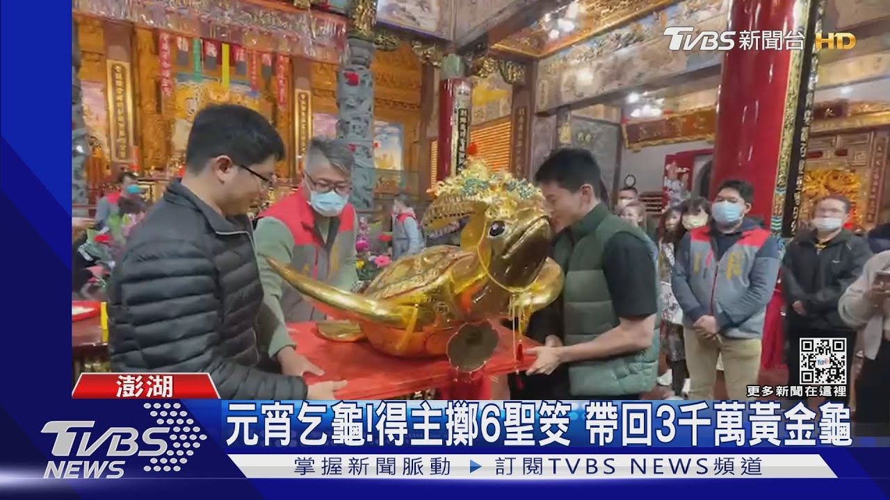 元宵乞龜!得主擲6聖筊 帶回3千萬黃金龜
