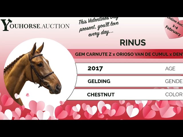 Rinus showvideo