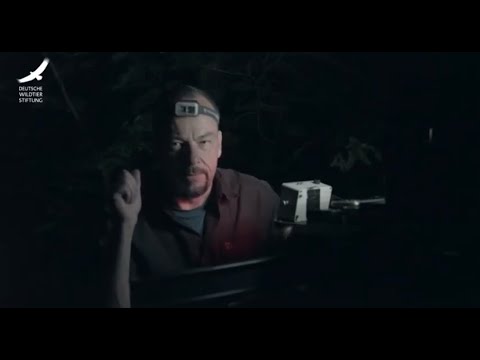 Jans Tierleben: Folge 6 – Glühwürmchen