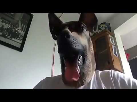 VUELVE CHUNY... POR FINNNNNNN