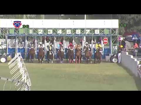 NOTTINGHAMSHIRE win the Noble Salute cup 2018  990m 14/7Apr