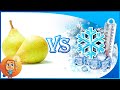 Freeze Pear Can Pear Be Frozen And Then Use It Pear Storage