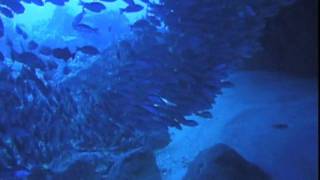 Cuando sea Espacio - Alejandro Sanz (Original by Pipin Ferreras )