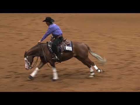 CUSTOMIZED MY GUN Joe Schmidt