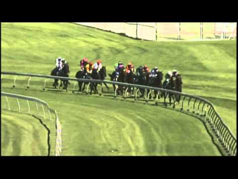 2007 - Thrifty Royal Randwick Guineas - Mentality