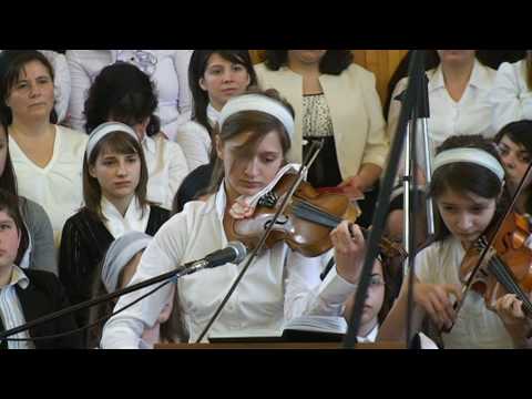 IN MIJLOCUL LAUDELOR - ORCHESTRA