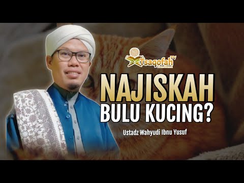 Najiskah Bulu Kucing? | Ustadz Wahyudi Ibnu Yusuf | Tanya Jawab Ustadz