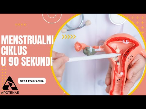 Menstrualni ciklus, jednostavno objašnjenje u 90 sekundi!