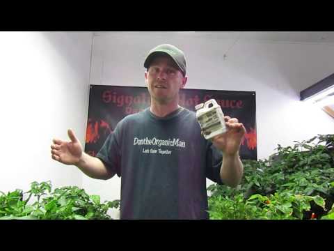 Using Neem Oil to Kill Bugs in Your Garden #garden #plants #Bugs #neemoil