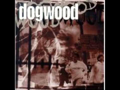 Feel The Burn - Dogwood