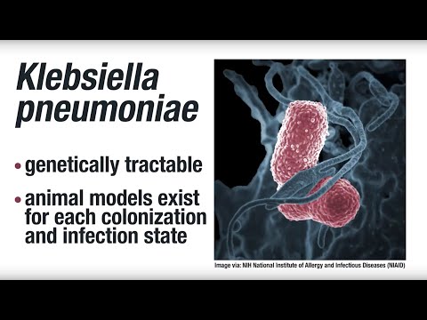 Az amoebiasis, giardiasis, trichomoniasis kezelésére használt gyógyszer