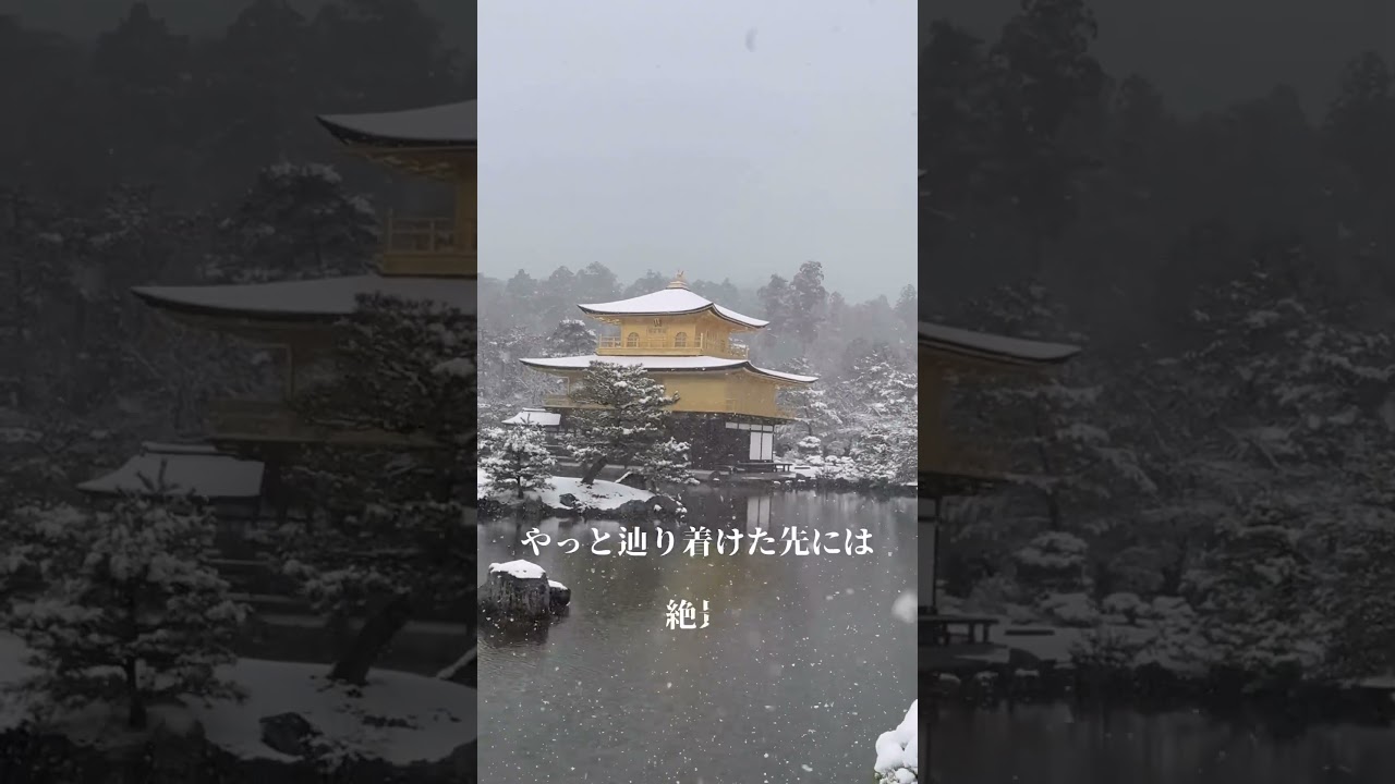冬人気No.1 雪の金閣寺