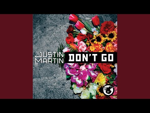 Don't Go (DJ Version)