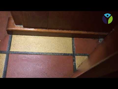 Video 5